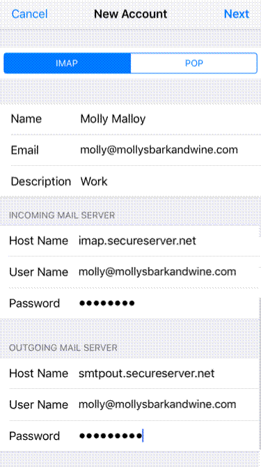 Enter email account server details